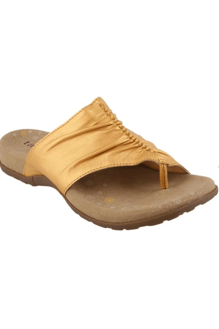 Quest Shoes & Clothing TAOS Gift 2 Sale Footwear