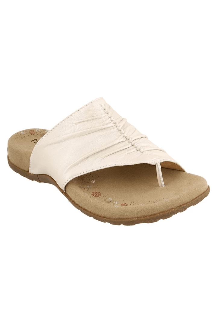 Quest Shoes & Clothing TAOS Gift 2 Sale Footwear