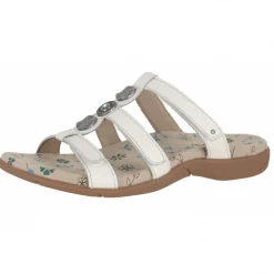 Quest Shoes & Clothing TAOS Prize 3