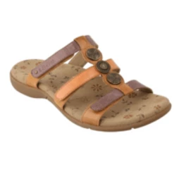 Quest Shoes & Clothing TAOS Prize 3