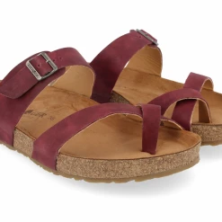 Quest Shoes & Clothing HAFLINGER Juno