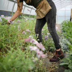 Quest Shoes & Clothing BLUNDSTONE 1440 Work/ Safety